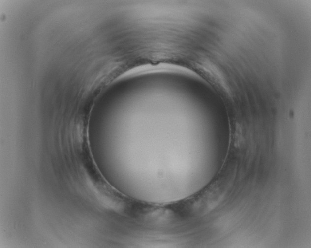 X0000089410210200707061302