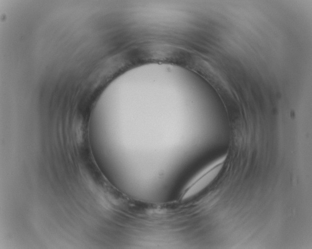 X0000089410216200707061302