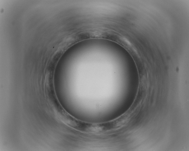 X0000089410217200707061302