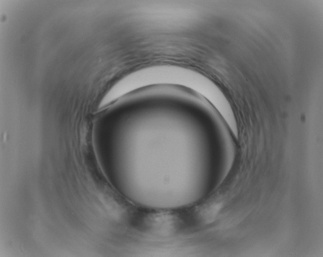 X0000089410219200707061302