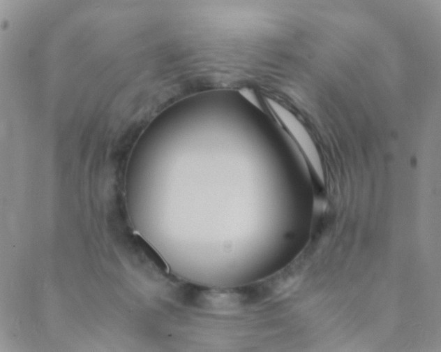 X0000089410221200707061302