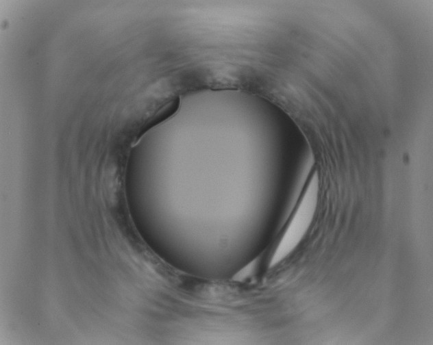X0000089410223200707061302