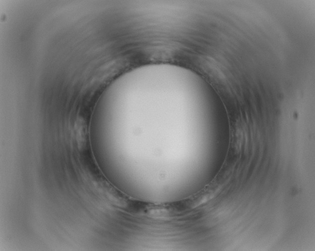 X0000089410228200707061302