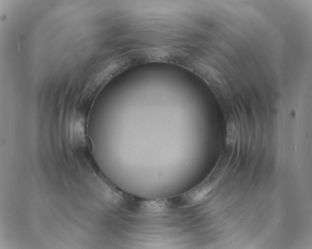 X0000089410238200707061302