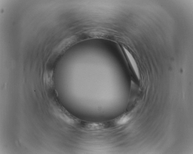 X0000089410239200707061302