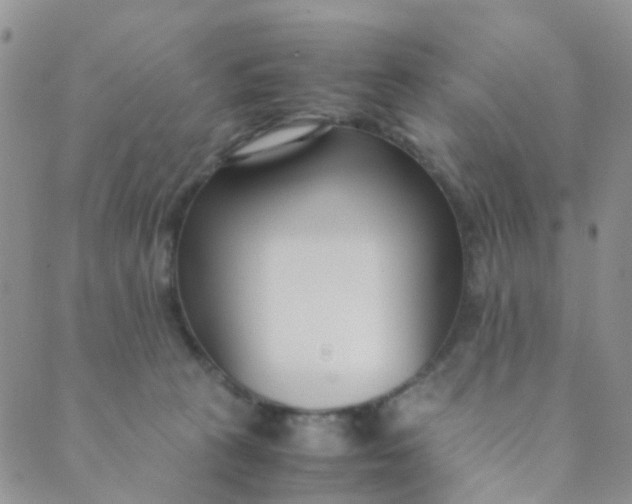 X0000089410273200707061301
