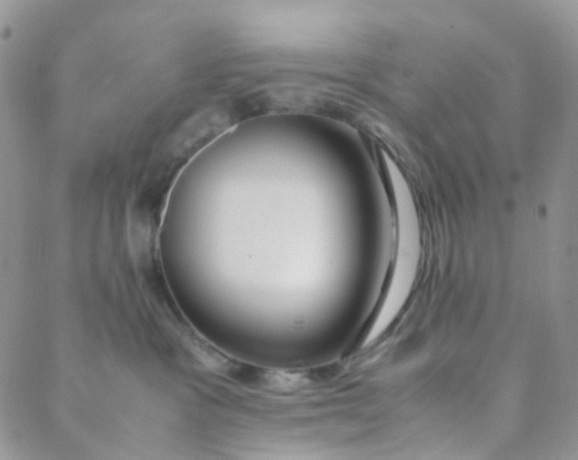 X0000089410333200707061300