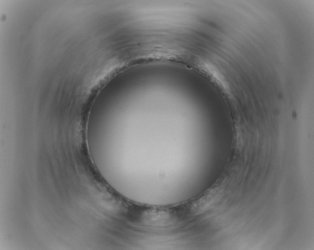 X0000089410354200707061259