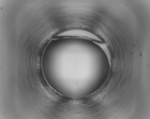 X0000089410356200707061259
