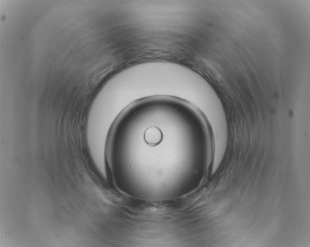 X0000089410364200707061300
