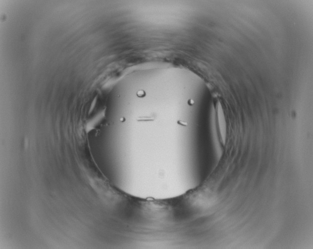 X0000089410380200707061300