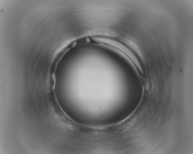 X0000089410388200707061259