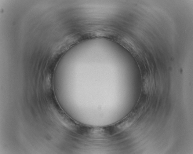 X0000089410410200707061259