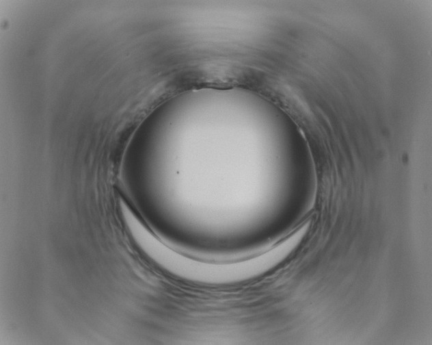 X0000089410413200707061259