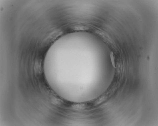 X0000089410422200707061259