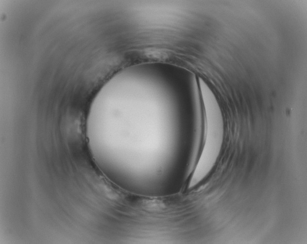 X0000089410424200707061259