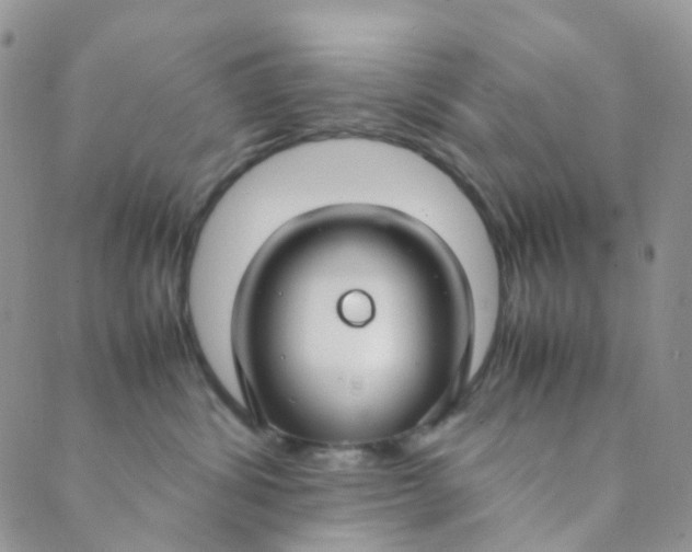 X0000089410428200707061258