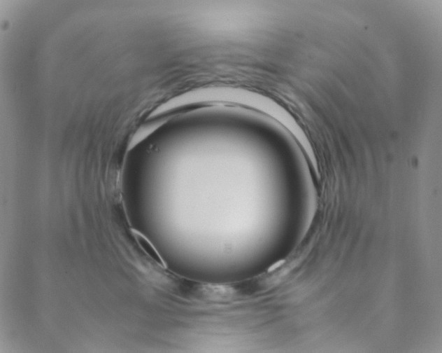 X0000089410429200707061258