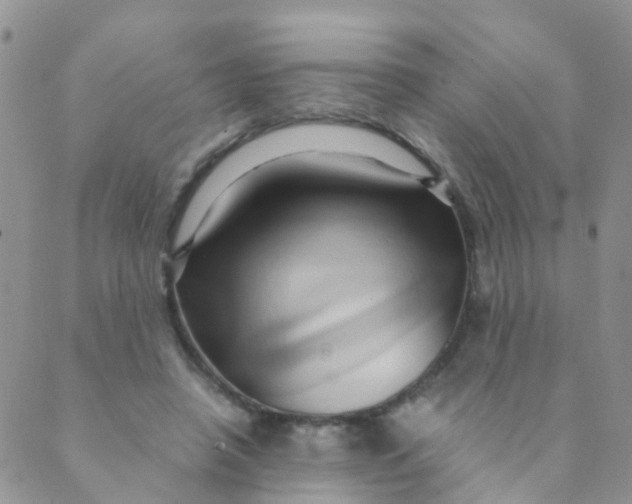 X0000089410450200707061258