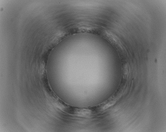 X0000089410463200707061258
