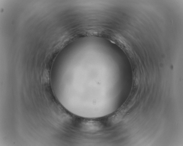 X0000089410467200707061258