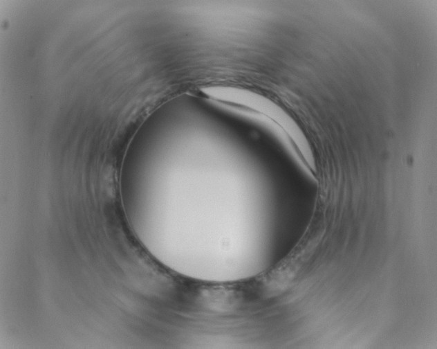 X0000089410470200707061258