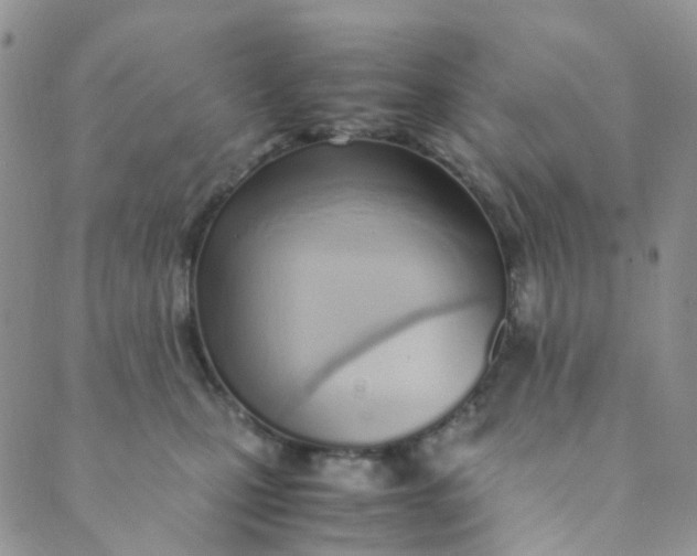 X0000089410471200707061258