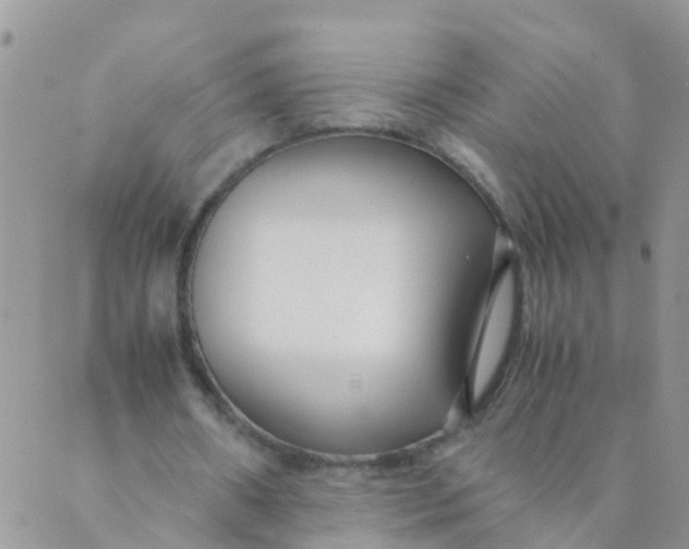 X0000089410482200707061258