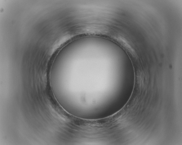 X0000089410488200707061258