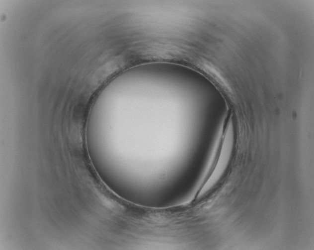 X0000089410489200707061257