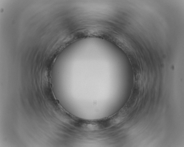 X0000089410506200707061257