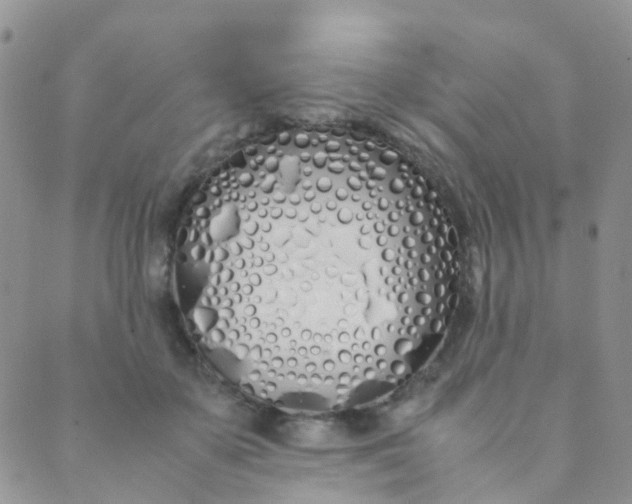 X0000089410507200707061257