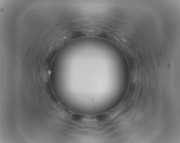 X0000089410515200707061257