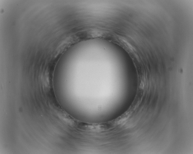 X0000089410524200707061257