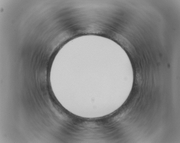 X0000089410534200707061256