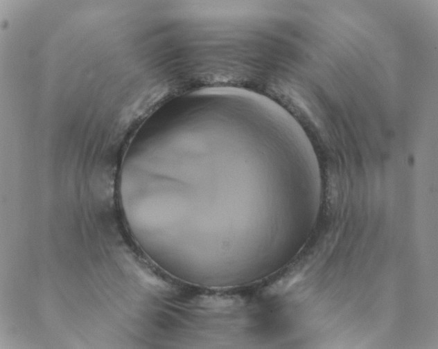 X0000089410545200707061256