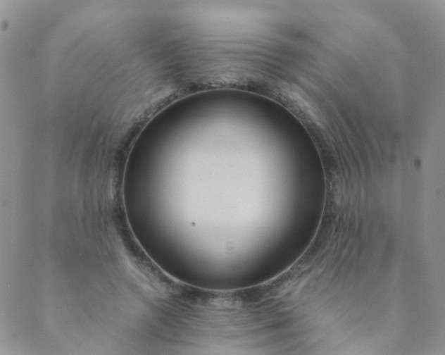 X0000089410546200707061256