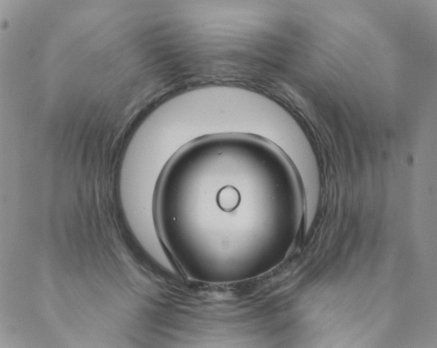 X0000089410552200707061256
