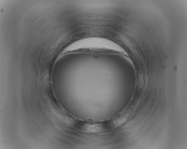 X0000089410557200707061257