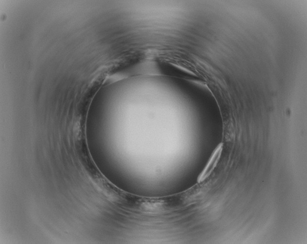 X0000089410560200707061257