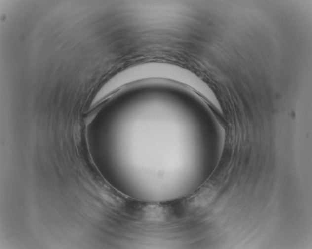 X0000089410562200707061257