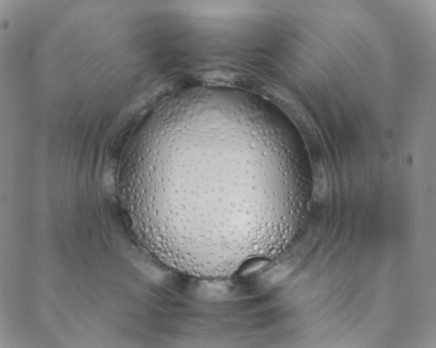 X0000089410573200707061257