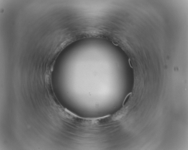 X0000089410576200707061257