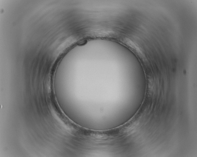 X0000089410582200707061256