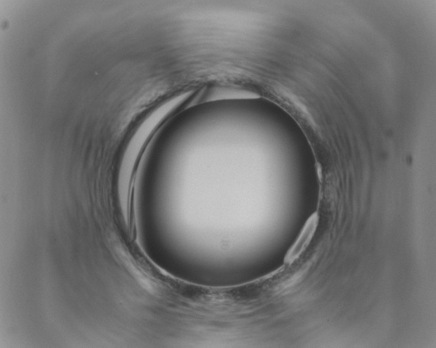 X0000089410589200707061256