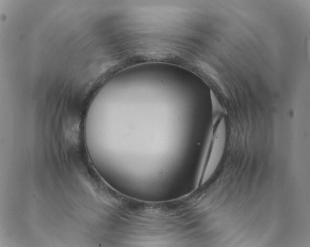 X0000089410596200707061256