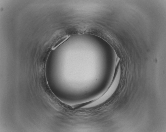 X0000089410601200707061256