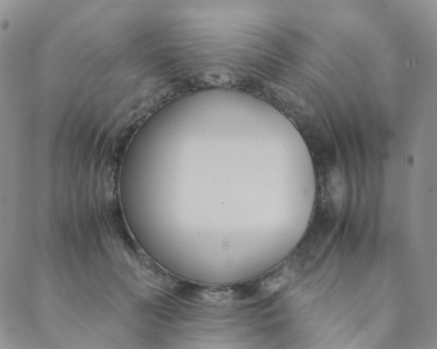X0000089410606200707061256