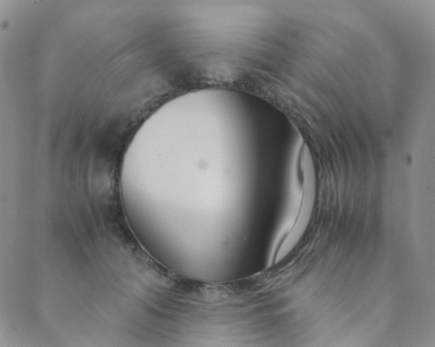 X0000089410608200707061256
