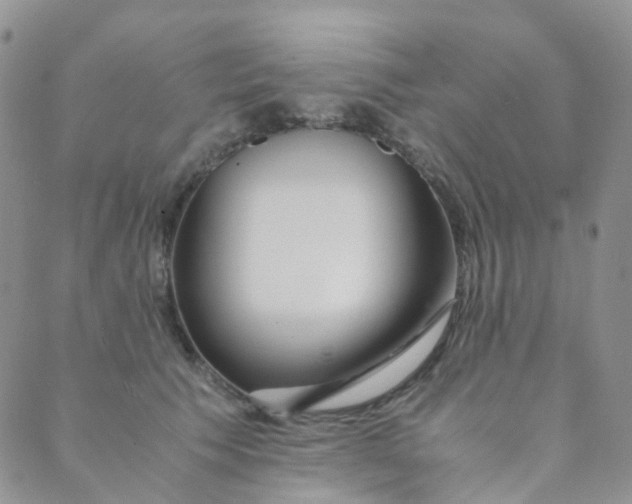X0000089410609200707061256